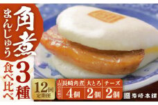 【12回定期便】【化粧箱】角煮まんじゅう3種 計96個 長与町/岩崎本舗 [EAB044] 角煮 かくに 角煮まん 長崎 角煮まんじゅう 岩崎 岩崎本舗 食べ比べ 定期 定期便