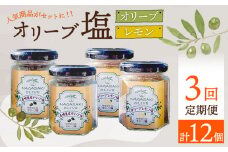【3回定期便】オリーブ塩＆オリーブレモン塩 セット（各2個）計12個 長与町/ゆきのヶ丘オリーブ園 [EAV015] 調味料 オリーブ 塩