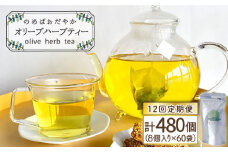 【全12回定期便】 オリーブ ハーブティー  40個（8個入×5袋）長与町/ゆきのヶ丘オリーブ園 [EAV004] ハーブティー オリーブティー ティーバッグ