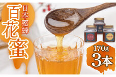 【長崎の純粋はちみつ】日本蜜蜂 百花蜜 170g×3本 ー2025年収穫分ー 長与町/ハチミツ屋はなまる [ECD001] 純粋はちみつ 生はちみつ ハチミツ 国産 蜂蜜 天然 ハニー 非加熱