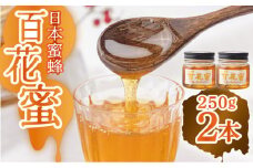 【長崎の純粋はちみつ】日本蜜蜂 百花蜜 250g×2本 ー2025年収穫分ー 長与町/ハチミツ屋はなまる [ECD002] 純粋はちみつ 生はちみつ ハチミツ 国産 蜂蜜 天然 ハニー 非加熱