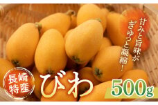 【数量限定】長崎 びわ 12個入り（500g） 長与町/長崎西彼農業協同組合じげもん長与直売所 [EAF004] びわ 先行予約