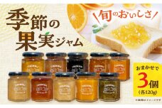 季節の果実ジャム 3個（各120g） 長与町/アグリューム [EAI088] 瓶 セット ジャム じゃむ 季節の果実 果物 詰め合わせ フルーツジャム 国産 10000円 1万円