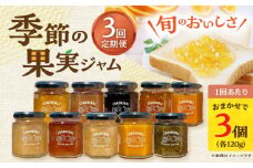 【3回定期便】季節の果実ジャム 3個（各120g） 長与町/アグリューム [EAI089] 瓶 セット ジャム