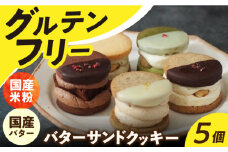 バターサンド 【 グルテンフリー 】米粉のバターサンドクッキー 5個 長与町/ Lilla Lotta（リラロッタ） [EBR013] ぐるてんふりー グルテンフリースイーツ スイーツ すいーつ 米粉 こめこ 詰め合わせ お菓子 クッキー クッキーサンド ばたーさんど 冷凍 個包装 人気 ランダム おかし