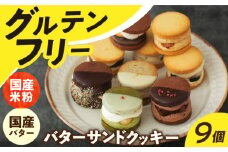 バターサンド 【 グルテンフリー 】米粉のバターサンドクッキー 9個 長与町/ Lilla Lotta（リラロッタ） [EBR025] ぐるてんふりー グルテンフリースイーツ スイーツ すいーつ 米粉 こめこ 詰め合わせ お菓子 クッキー クッキーサンド ばたーさんど 冷凍 個包装 人気 ランダム おかし