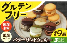 【3回定期便】バターサンドクッキー 9個 長与町/ Lilla Lotta（リラロッタ） [EBR026]グルテンフリースイーツ スイーツ すいーつ 米粉 こめこ 焼菓子 詰め合わせ お菓子 クッキー クッキーサンド バターサンド ばたーさんど 冷凍 個包装 人気 ランダム おかし 定期便 ていきびん