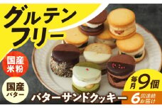 【6回定期便】バターサンドクッキー 9個 長与町/ Lilla Lotta（リラロッタ） [EBR027]グルテンフリースイーツ スイーツ すいーつ 米粉 こめこ 焼菓子 詰め合わせ お菓子 クッキー クッキーサンド バターサンド ばたーさんど 冷凍 個包装 人気 ランダム おかし 定期便 ていきびん
