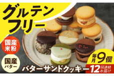 【12回定期便】バターサンドクッキー 9個 長与町/ Lilla Lotta（リラロッタ） [EBR028]グルテンフリースイーツ スイーツ すいーつ 米粉 こめこ 焼菓子 詰め合わせ お菓子 クッキー クッキーサンド バターサンド ばたーさんど 冷凍 個包装 人気 ランダム おかし 定期便 ていきびん