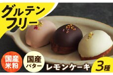 レモンケーキ 【 グルテンフリー 】米粉のレモンケーキ 3種（6個） 長与町/Lilla Lotta（リラロッタ） [EBR029] ぐるてんふりー グルテンフリースイーツ スイーツ すいーつ 米粉 こめこ 詰め合わせ お菓子 れもんけーき 長崎 冷凍 個包装 人気 ランダム おかし