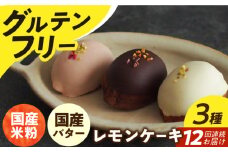 【12回定期便】レモンケーキ 3種（6個） 長与町/Lilla Lotta（リラロッタ） [EBR032] グルテンフリースイーツ スイーツ すいーつ 米粉 こめこ 焼菓子 詰め合わせ お菓子 レモンケーキ れもんけーき 長崎 冷凍 個包装 人気 ランダム おかし 定期便 定期 ていきびん
