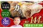 餃子 ぎょうざ ニンニク無し にんにくなし 不使用 長崎 岩崎本舗 定期 ていき 定期便 ていきびん