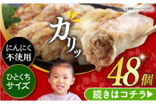 7日内発送）【簡易包装】三代目長崎ぎょうざ48個（12個入×4袋） 長与町/岩崎本舗 [EAB045] 餃子 ぎょうざ ニンニク無し にんにくなし 不使用 長崎 岩崎本舗 スピード 最短 最速 発送