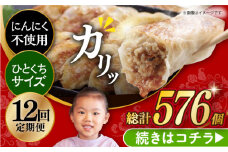 【簡易包装】【12回定期便】三代目長崎ぎょうざ48個（12個入×4袋） 長与町/岩崎本舗 [EAB048] 餃子 ぎょうざ ニンニク無し にんにくなし 不使用 長崎 岩崎本舗 定期 定期便