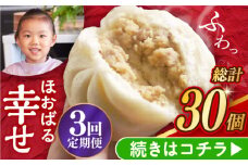 【3回定期便】【簡易包装】三代目長崎肉まん10個 （5個×2袋） 長与町/岩崎本舗 [EAB054] 中華まん 肉まん にくまん 冷凍 長崎 岩崎本舗 定期 定期便