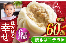 【6回定期便】【簡易包装】三代目長崎肉まん10個 （5個×2袋） 長与町/岩崎本舗 [EAB055] 中華まん 肉まん にくまん 冷凍 長崎 岩崎本舗 定期 定期便