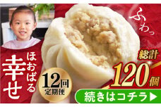 【12回定期便】【簡易包装】三代目長崎肉まん10個 （5個×2袋） 長与町/岩崎本舗 [EAB056] 中華まん 肉まん にくまん 冷凍 長崎 岩崎本舗 定期 定期便