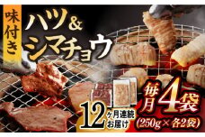 【全12回定期便】【塩だれ】九州産和牛 ホルモン2種 計1kg（ ハツ 250g×2袋・ シマチョウ 250g×2袋） 長与町/岩永ホルモン [EAX137] ホルモン焼き 国産 牛肉 ホルモン ミックス 小分け 味付き 冷凍 焼肉 焼き肉 和牛 塩 しお 牛 定期便 ていきびん 定期