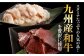 国産 牛肉 ホルモン ほるもん 小腸 しょうちょう 味付き 冷凍 焼肉 焼き肉 牛 チョウ ホルモン焼き 定期便 ていきびん
