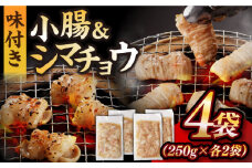 【塩だれ】 九州産和牛 ホルモン 2種 計1kg（ シマチョウ 250g×2袋・ 小腸 250g×2袋） 長与町/岩永ホルモン [EAX146] ホルモン焼き 国産 牛肉 ホルモン ほるもん ミックス みっくす 小分け 味付き 冷凍 焼肉 焼き肉 和牛 塩 しお 牛