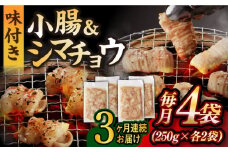 【全3回定期便】【塩だれ】 九州産和牛 ホルモン 2種 計1kg（ シマチョウ 250g×2袋・ 小腸 250g×2袋） 長与町/岩永ホルモン [EAX147] ホルモン焼き 国産 牛肉 ホルモン ミックス 小分け 味付き 冷凍 焼肉 焼き肉 和牛 塩 しお 牛 定期便 ていきびん 定期