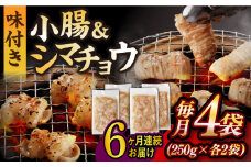 【全6回定期便】【塩だれ】 九州産和牛 ホルモン 2種 計1kg（ シマチョウ 250g×2袋・ 小腸 250g×2袋） 長与町/岩永ホルモン [EAX148] ホルモン焼き 国産 牛肉 ホルモン ミックス 小分け 味付き 冷凍 焼肉 焼き肉 和牛 塩 しお 牛 定期便 ていきびん 定期