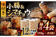 【全12回定期便】【塩だれ】 九州産和牛 ホルモン 2種 計1kg（ シマチョウ 250g×2袋・ 小腸 250g×2袋） 長与町/岩永ホルモン [EAX149] ホルモン焼き 国産 牛肉 ホルモン ミックス 小分け 味付き 冷凍 焼肉 焼き肉 和牛 塩 しお 牛 定期便 ていきびん 定期