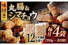 【全12回定期便】【塩だれ】九州産和牛 ホルモン 2種 計1kg（ シマチョウ 250g×2袋・ 丸腸 250g×2袋） 長与町/岩永ホルモン [EAX153] ホルモン焼き 国産 牛肉 ホルモン ミックス 小分け 味付き 冷凍 焼肉 焼き肉 和牛 塩 しお 牛 定期便 ていきびん 定期