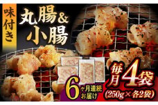 【全6回定期便】【塩だれ】 九州産和牛 ホルモン 2種 計1kg（ 小腸 250g×2袋・ 丸腸 250g×2袋） 長与町/岩永ホルモン [EAX156] ホルモン焼き 国産 牛肉 ホルモン ミックス 小分け 味付き 冷凍 焼肉 焼き肉 和牛 塩 しお 牛 定期便 ていきびん 定期