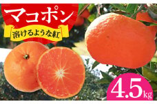 【先行予約】＜ デコポン の子供＞ マコポン 4.5kg ー2024年12月下旬より発送ー 長与町/井上柑橘園 [EAA006] みかん ミカン 先行予約 まこぽん マコポン デコポン オレンジ おれんじ  果物 くだもの フルーツ 柑橘 かんきつ 稀少 希少 