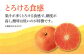＜ デコポン の子供＞ マコポン 4.5kg