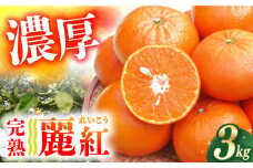 みかん【ご家庭用】麗紅（れいこう）3kg ー2026年2月中旬より発送ー 長与町/果豊園 [ECL001] みかん ミカン 蜜柑 柑橘 みかん フルーツ 果物 みかん 季節限定 先行予約 長崎県産 家庭用みかん 2月発送