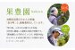 みかん 柑橘 3㎏ 果物 くだもの フルーツ ミカン 先行予約