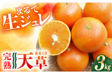【ご家庭用】 天草 （あまくさ） 3kg ー2026年2月より発送ー 長与町/果豊園 [ECL002] みかん ミカン 柑橘 かんきつ フルーツ 果物 完熟 季節限定 家庭用 先行予約 長崎県産 長与町