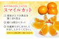 みかん 柑橘 果物 くだもの フルーツ 季節限定 数量限定 温州みかん ミカン 先行予約