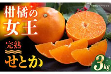 【ご家庭用】 せとか 3kg ー2026年3月より発送ー 長与町/果豊園 [ECL003] みかん ミカン 柑橘 かんきつ フルーツ 果物 完熟 季節限定 家庭用 先行予約 長崎県産 長与町