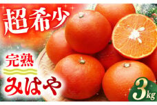 【先行予約】【ご家庭用】 みはや 3kg ー2025年12月より発送ー 長与町/果豊園 [ECL004] みかん ミカン 柑橘 かんきつ フルーツ 果物 完熟 季節限定 家庭用 先行予約 長崎県産 長与町