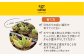観葉植物 多肉植物 苗 植物 アロエ あろえ インテリア