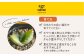 観葉植物 多肉植物 苗 植物 アロエ あろえ インテリア