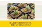 観葉植物 多肉植物 苗 植物 アロエ あろえ インテリア