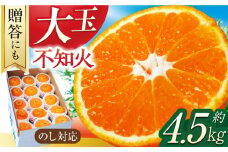 【贈答】【大玉】不知火 約4.5kg（13～15個）ー3月中旬～4月中旬頃に発送ー 長与町/彩咲果樹園 [ECM001] しらぬい 不知火 デコポン でこぽん 柑橘 かんきつ みかん ミカン 蜜柑 大玉 贈答 果物 フルーツ 先行予約 長崎県 長与町