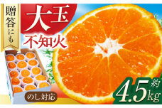 【贈答】【大玉】不知火 約4.5kg（13～15個）ー3月中旬～4月中旬頃に発送ー 長与町/彩咲果樹園 [ECM001] しらぬい 不知火 デコポン でこぽん 柑橘 かんきつ みかん ミカン 蜜柑 大玉 贈答 果物 フルーツ 先行予約 長崎県 長与町