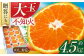 しらぬい 不知火 デコポン でこぽん 柑橘 かんきつ みかん ミカン 蜜柑 大玉 贈答 果物 フルーツ 先行予約 長崎県 長与町