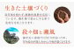 しらぬい 不知火 デコポン でこぽん 柑橘 かんきつ みかん ミカン 蜜柑 大玉 贈答 果物 フルーツ 先行予約 長崎県 長与町