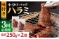 国産 牛肉 ハラミ 牛ハラミ はらみ 小分け 味付き サガリ 焼肉 焼き肉 塩 しお 冷凍 焼肉定期便 ていきびん 定期