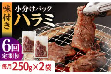 【6回定期便】ハラミ【塩だれ】九州産和牛ハラミ 毎月250g×2袋（計3kg）長与町/岩永ホルモン [EAX160] 国産 牛肉 ハラミ 牛ハラミ はらみ 小分け 味付き サガリ 焼肉 焼き肉 塩 しお 冷凍 焼肉 焼き肉 やきにく 九州 定期便 ていきびん 定期