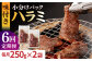 国産 牛肉 ハラミ 牛ハラミ はらみ 小分け 味付き サガリ 焼肉 焼き肉 塩 しお 冷凍 焼肉定期便 ていきびん 定期