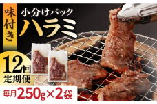 【12回定期便】ハラミ【塩だれ】九州産和牛ハラミ 毎月250g×2袋（計6kg）長与町/岩永ホルモン [EAX161] 国産 牛肉 ハラミ 牛ハラミ はらみ 小分け 味付き サガリ 焼肉 焼き肉 塩 しお 冷凍 焼肉 焼き肉 やきにく 九州 定期便 ていきびん 定期