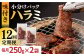 国産 牛肉 ハラミ 牛ハラミ はらみ 小分け 味付き サガリ 焼肉 焼き肉 塩 しお 冷凍 焼肉定期便 ていきびん 定期