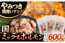 【長崎和牛】ミックスホルモン（プレーン） 200g×3袋 長与町/なかみ屋本舗 [EAD094] 国産 長崎和牛 和牛 ホルモン レバー ホルモンミックス 牛肉 ほるもん 冷凍 小分け 真空パック 味付き 味付け 焼肉 焼き肉 おつまみ